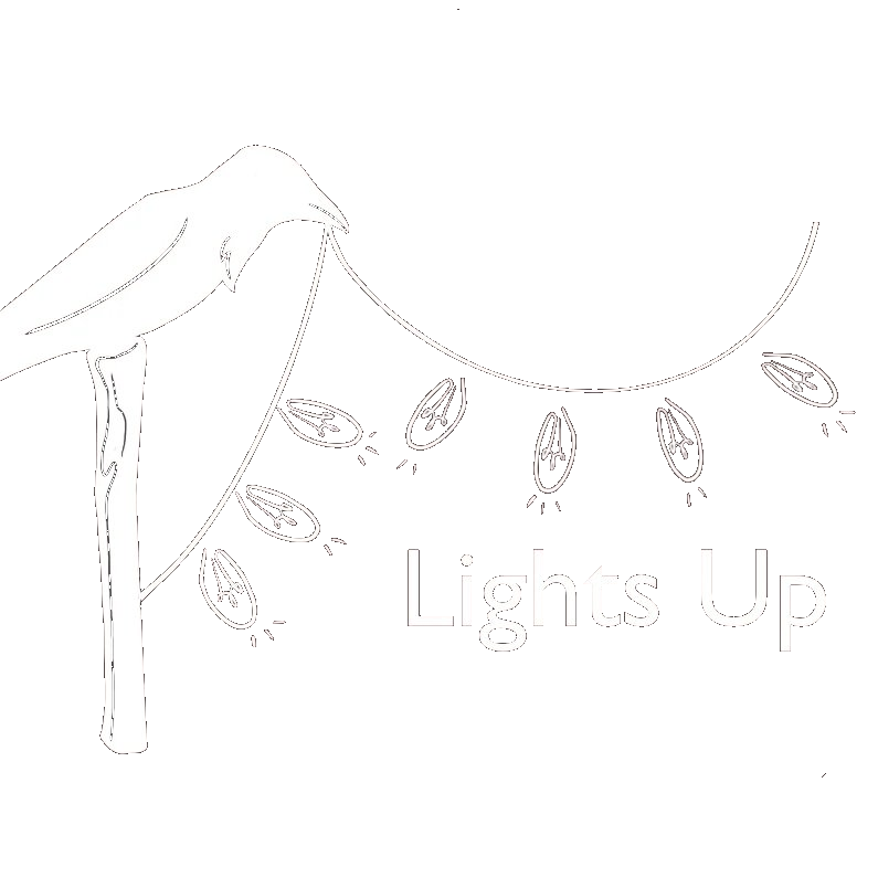 Lights UP